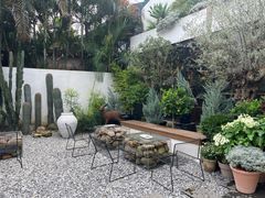 -自由生长植物工作室(深港花卉中心店)