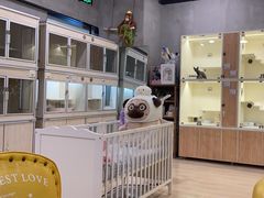 -十年猫舍·猫咪专门店(普陀店)