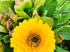 -HAPPEN(江川东路店)