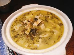 鸡汁安吉笋-金枝玉叶上海人家食府(三里河店)