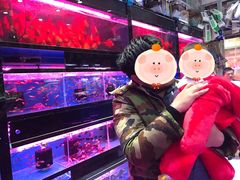 -双季花艺园艺市场(浦东店)