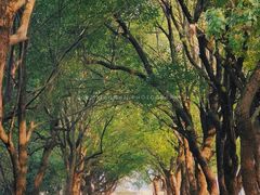 -岳麓山风景名胜区