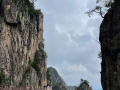 -老君山风景名胜区