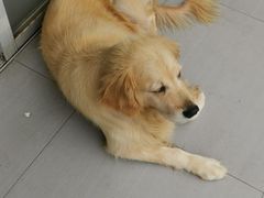 -江西阳明山国家森林公园