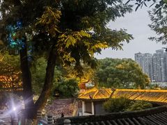 -黄鹤楼