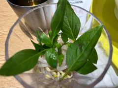 -蔡澜Pho·越南粉餐厅(海上世界店)