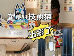 -凯德MALL(望京店)