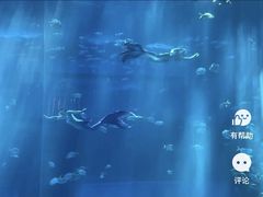 -南昌融创海世界