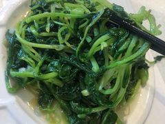鸡毛菜-大江南食府(石景山店)