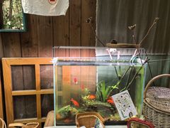 -懒鱼时光馆(沙坪坝店)
