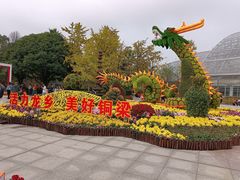 -南山植物园