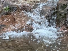 -东天目山风景区