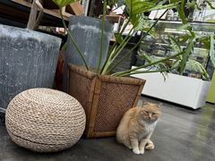 -北马山庄植趣咖啡