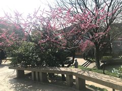 -无锡梅园公园