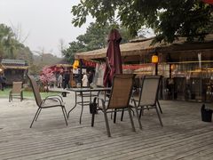 -二荆条·蜀鲜汇城市森林火锅