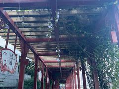 -光明港公园