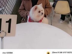 -怪兽屋·羊驼·猫咖·狗咖(俊华广场店)