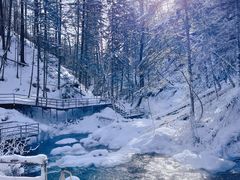 -峡谷浮石林景区