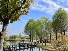 -沙家浜风景区
