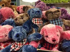 -济州岛泰迪熊博物馆