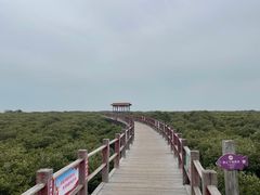 -北海金海湾红树林生态旅游区
