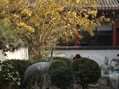 -1949-全鸭季(金宝街店)
