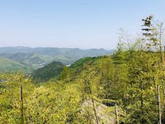 -莫干山风景区