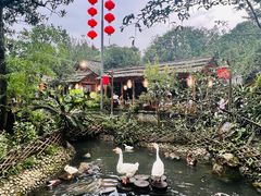 -青城甲(青城山店)