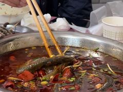 -盘龙黄鳝(盘龙居店)