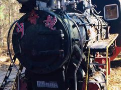 -五营红松林海景区