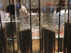 -喜茶(上海兴业太古汇店)