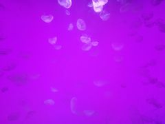 -沈阳海洋探索中心