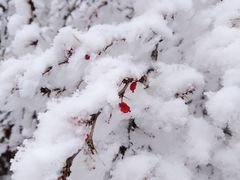-太子岭滑雪场