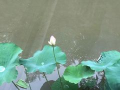 -韩湘水博园