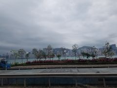 -星光大道