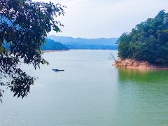 -广州市流溪河国家森林公园