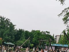 -成飞公园