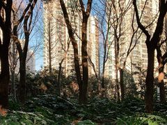 -苏州河梦清园环保主题公园