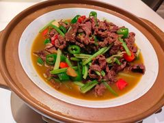 -阿露佳·舌尖上的安吉菜