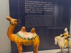 -镇江博物馆