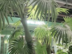 -春润大地海南椰子鸡(沙井京基百纳广场店)