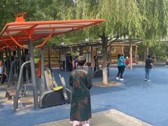 -大兴滨河森林公园