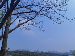 -盘龙城国家考古遗址公园