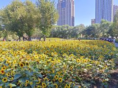 -长白岛森林公园