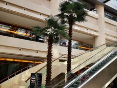 -广州白云机场雅高铂尔曼大酒店
