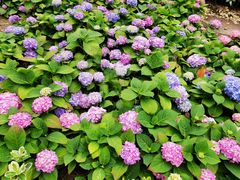 -苏州河梦清园环保主题公园