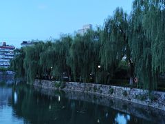-宝岛公园