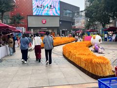 -中粮·祥云小镇
