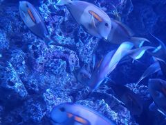 -成都浩海立方海洋公园