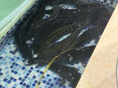 -老四川平头酸菜鱼(衙前店)